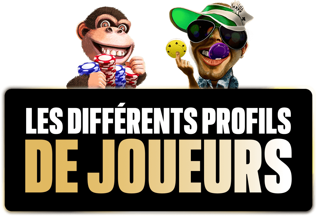 Les différents profils de joueurs