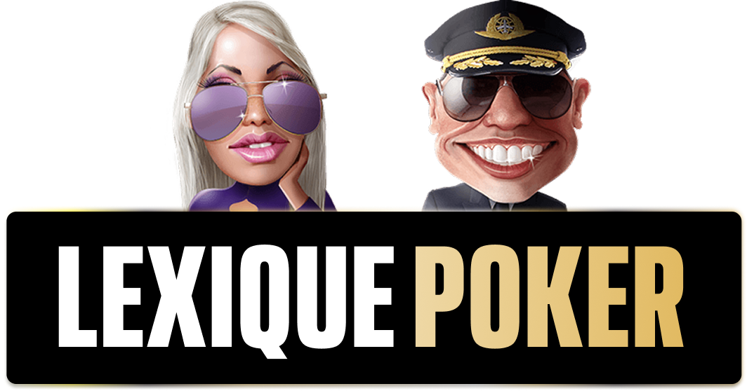 Les différents profils de joueurs