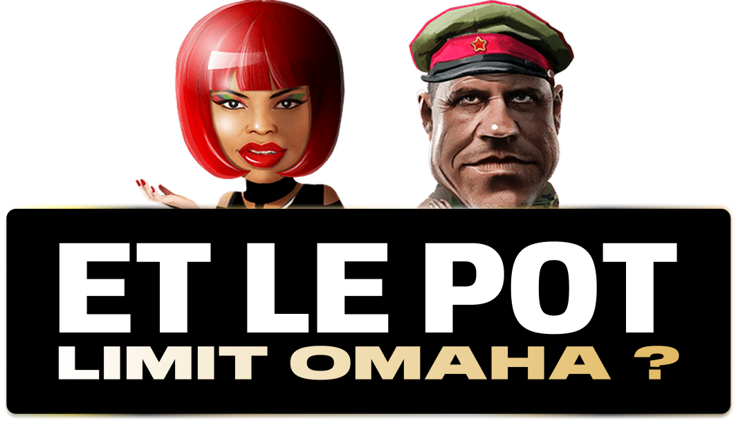 Les différents profils de joueurs