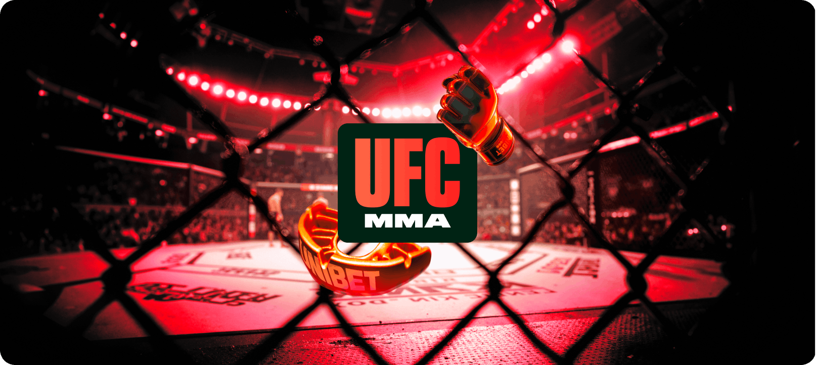 UFC MMA
